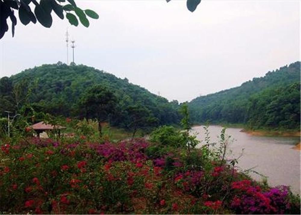 Phoenix Hotel Wuyi 江門市 エクステリア 写真